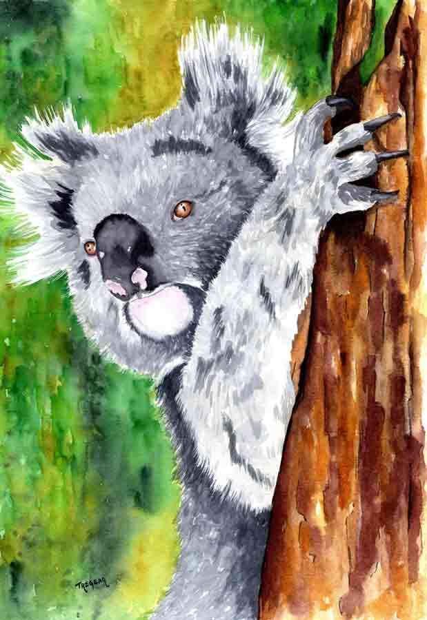 Koala in Tree